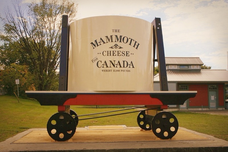The Mammoth cheese
