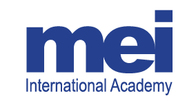 MEI International Academy: Global high school study abroad programs.